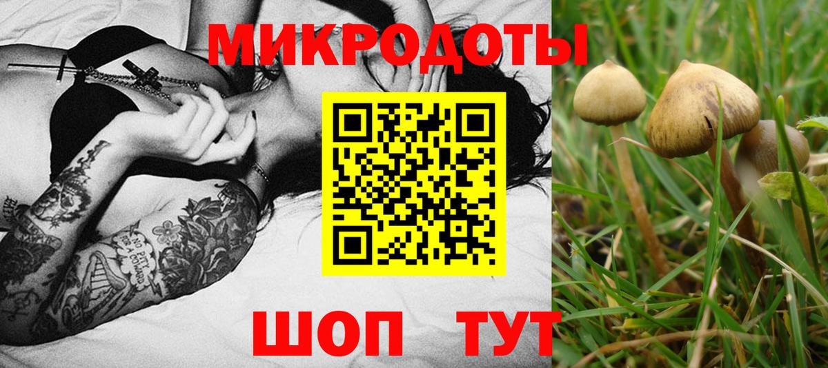цены   Псилоцибиновые грибы GOLDEN TEACHER  Вход с VPN  Сосновоборск 